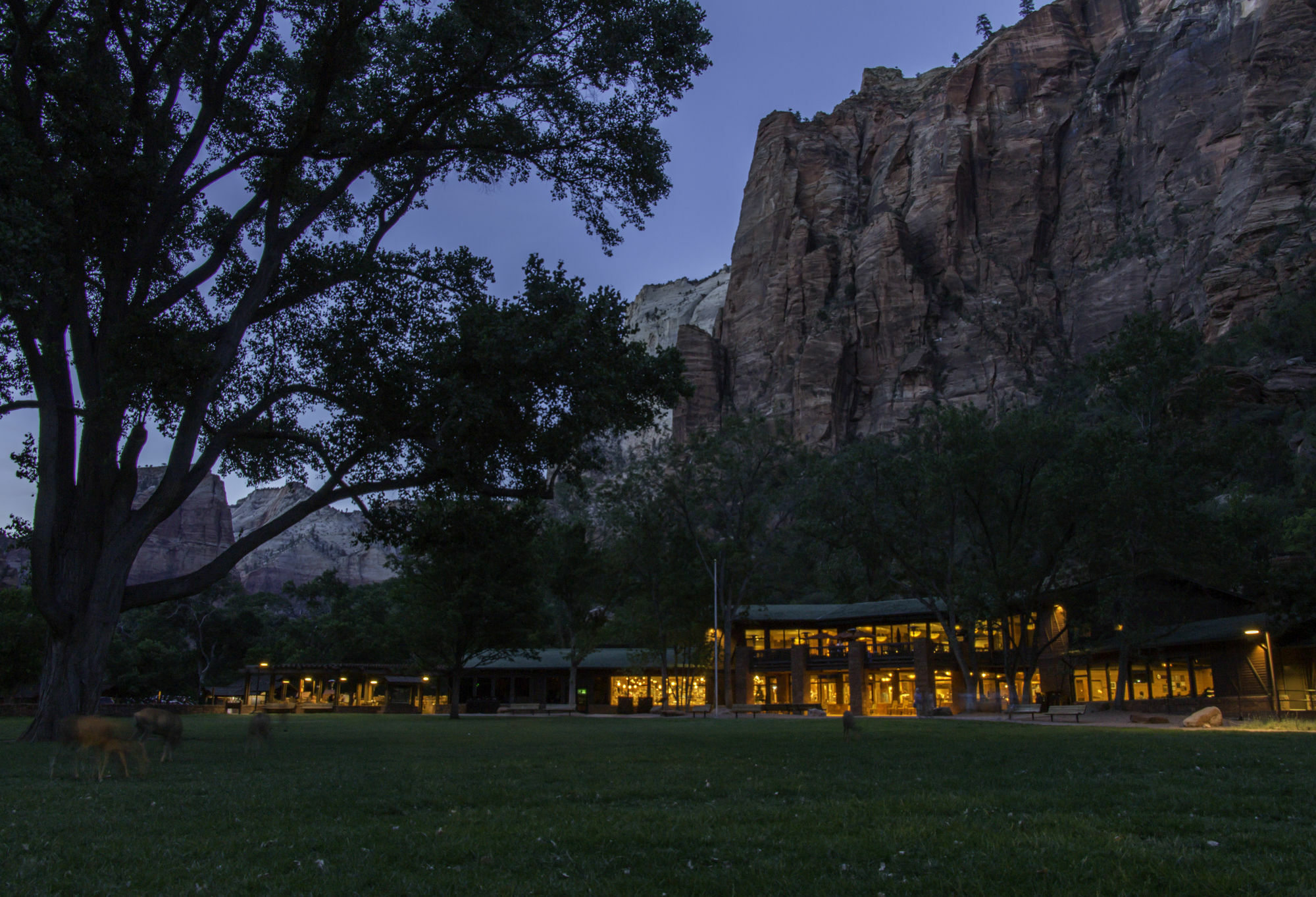 Zion Lodge Springdale Ngoại thất bức ảnh